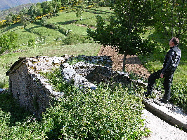 DSCN1917 DSCN1917