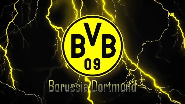 12dc5365dde8994a71bb48d8e1b79fff--bvb-legends_r2_c1