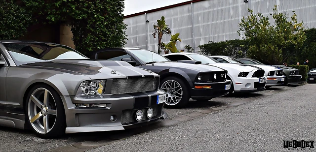 DSC_0793 DSC_0793