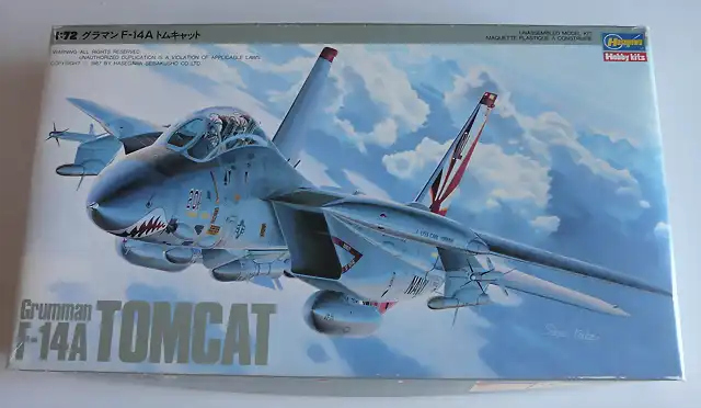 f-14tomcat