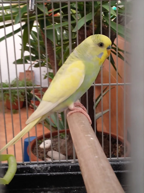 la foto 1 la foto 1