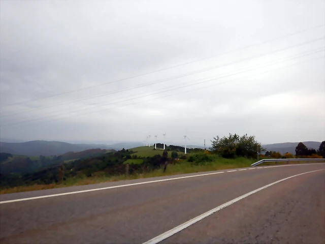 DSCN6542