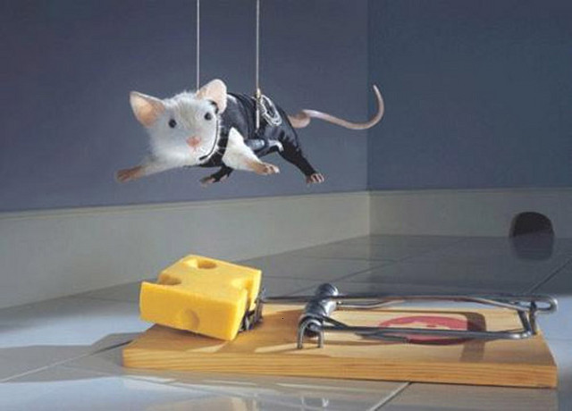 la-ratonera la-ratonera