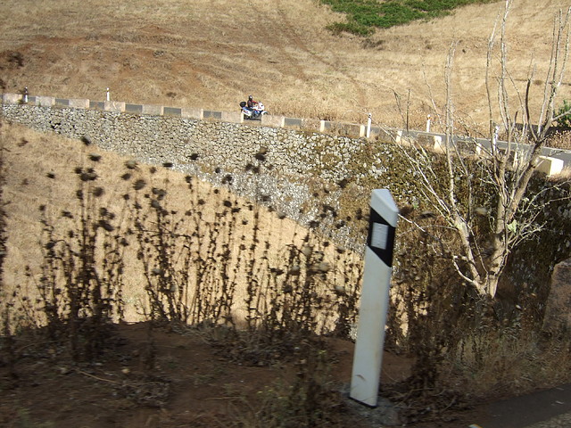 3 kedada - 115 3 kedada - 115