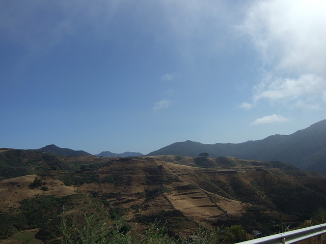 3 kedada - 129 3 kedada - 129