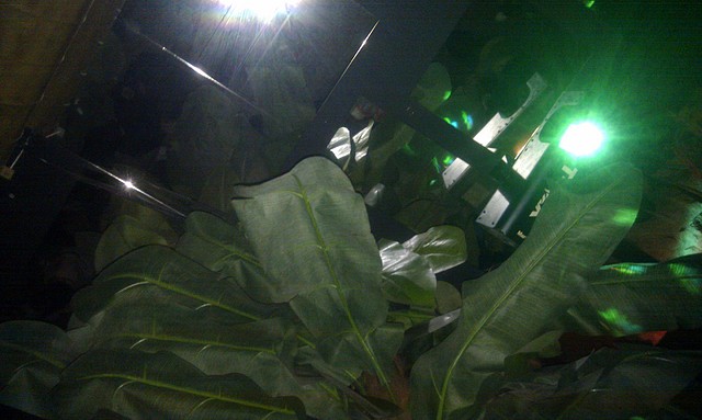 IMAG0294 IMAG0294