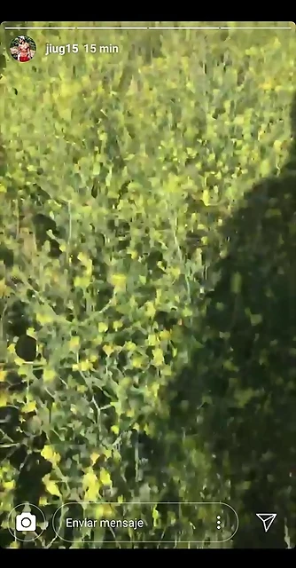 Video Hugo IG Stories 27-4-2019 (6) Video Hugo IG Stories 27-4-2019 (6)