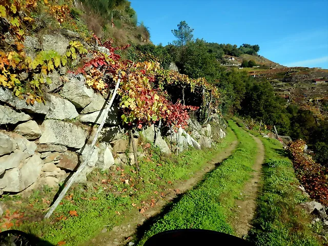 DSCN4480 DSCN4480