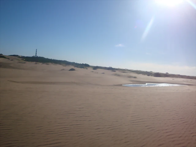 DSC07655 DSC07655