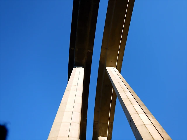 DSCN0217 DSCN0217