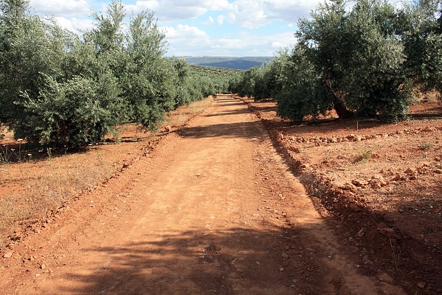 la soledad del camino