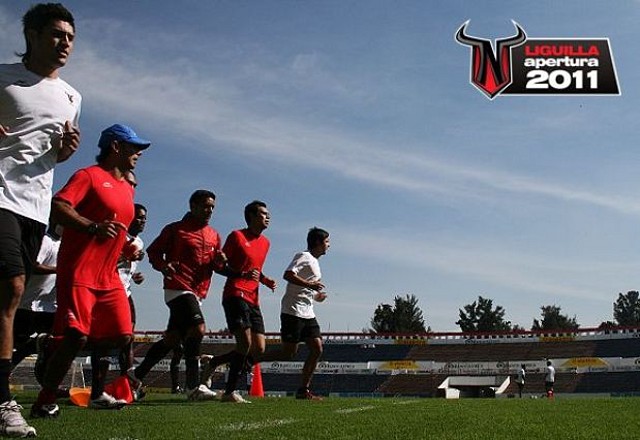 neza liguilla