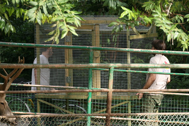 Zoo de Barcelona 30-09-2010 01 i 02-10-10 059