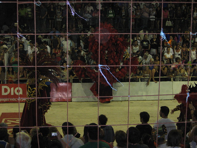 IMG_8039 IMG_8039