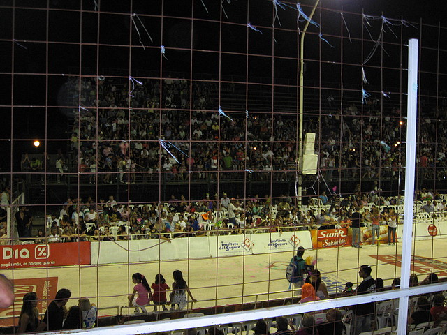 IMG_8007 IMG_8007