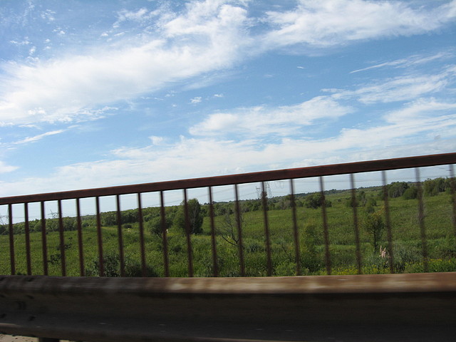 IMG_7924 IMG_7924