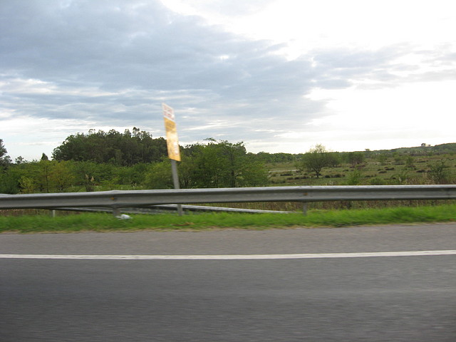 IMG_7911 IMG_7911