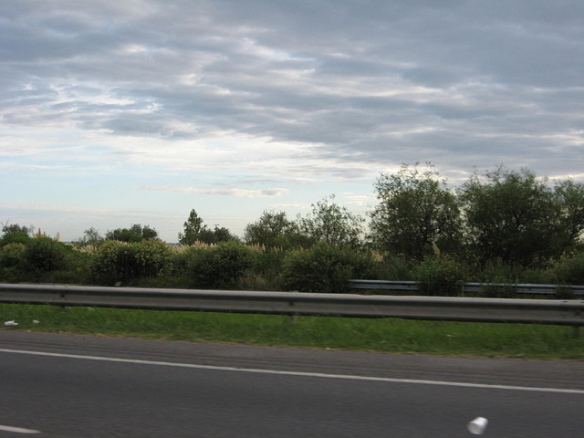 IMG_7912 IMG_7912