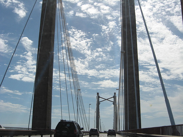 IMG_7930 IMG_7930