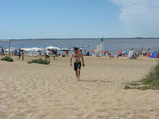 IMG_7985 IMG_7985