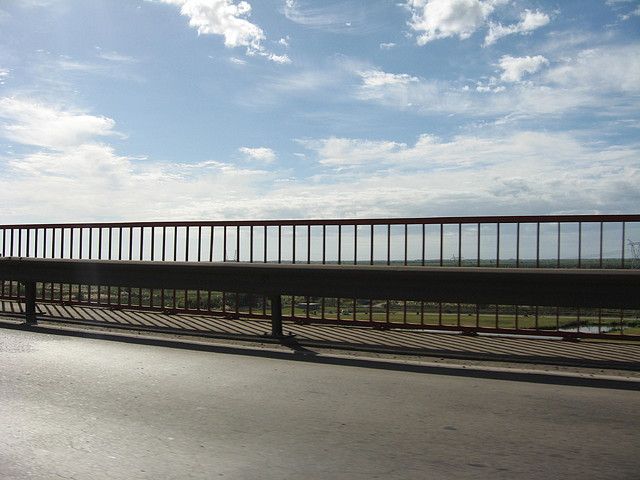 IMG_7917 IMG_7917