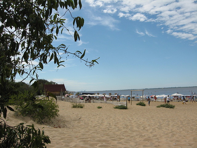 IMG_7983 IMG_7983