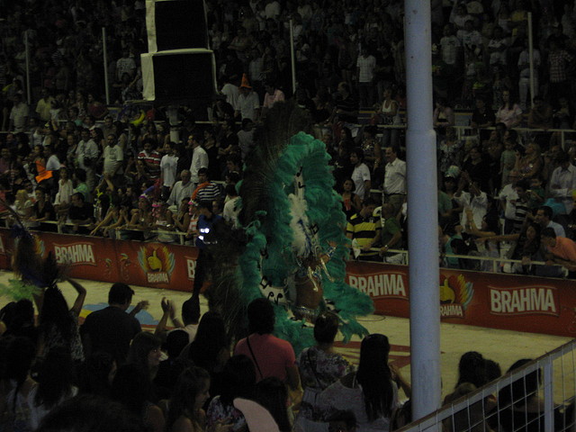 IMG_8017 IMG_8017