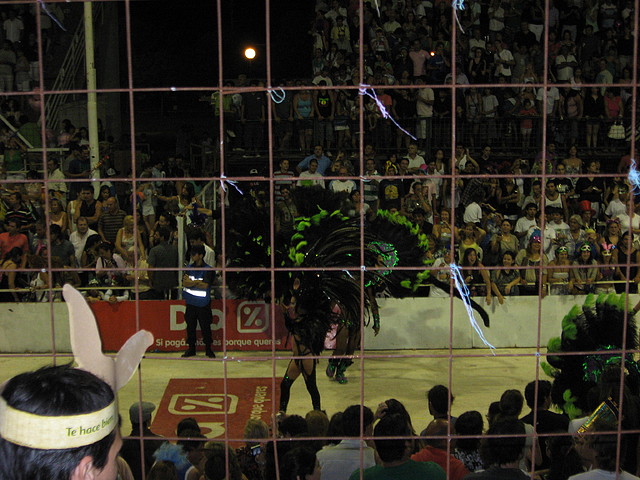 IMG_8022 IMG_8022