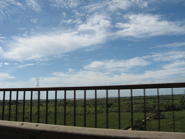 IMG_7925 IMG_7925