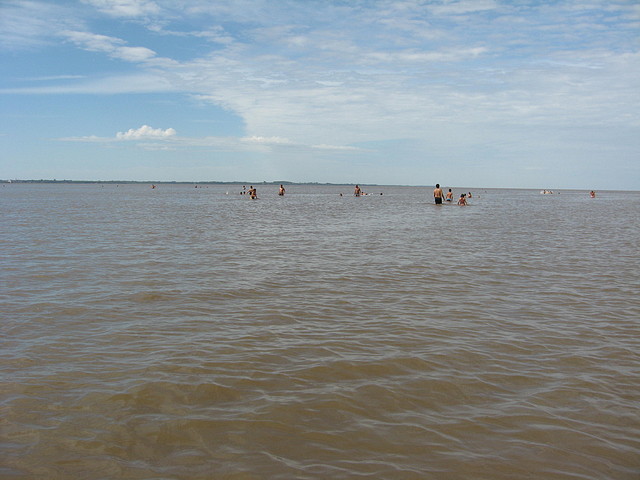 IMG_7989 IMG_7989