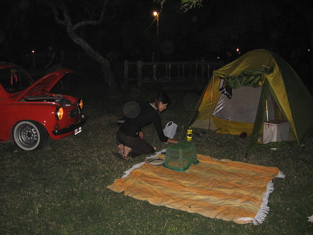 IMG_7961 IMG_7961