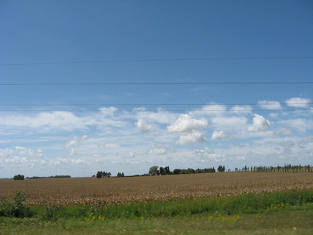 IMG_7936 IMG_7936