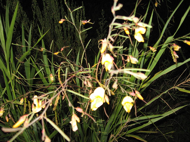 IMG_7965 IMG_7965