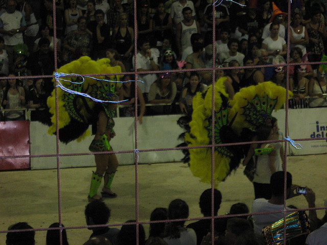 IMG_8036 IMG_8036