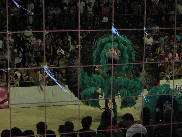 IMG_8018 IMG_8018
