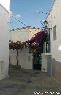 Callejn de La Parralera Grgal