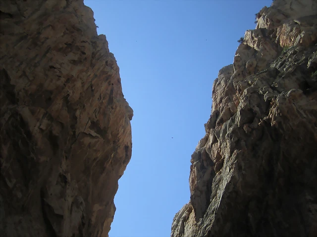 IMG_4318 IMG_4318