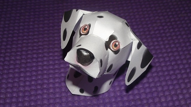 Dalmata acostado