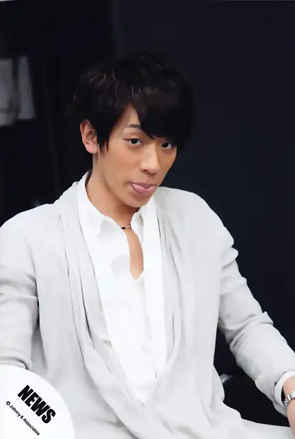 Koyama201211