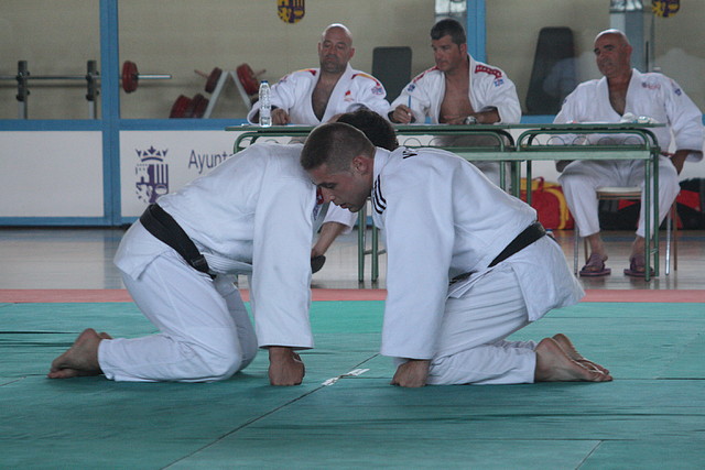 Examen_CNegro_Torrejon_2011_ 505