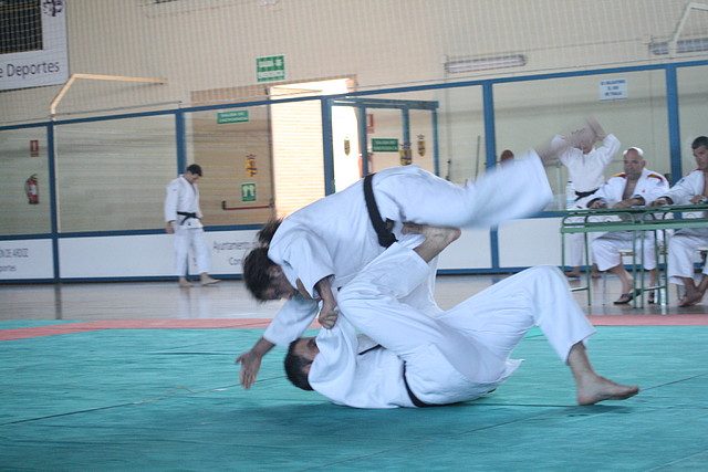 Examen_CNegro_Torrejon_2011_ 622