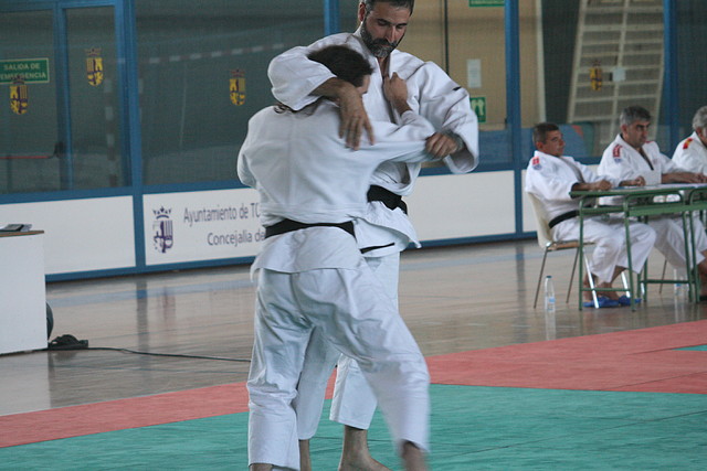 Examen_CNegro_Torrejon_2011_ 544