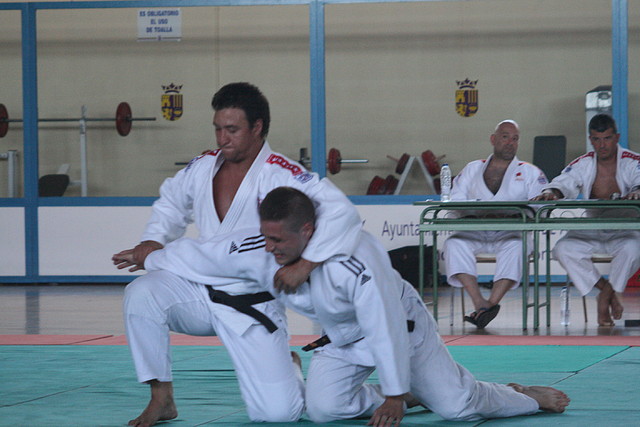 Examen_CNegro_Torrejon_2011_ 509