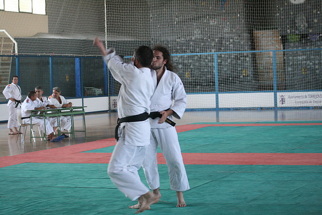 Examen_CNegro_Torrejon_2011_ 600