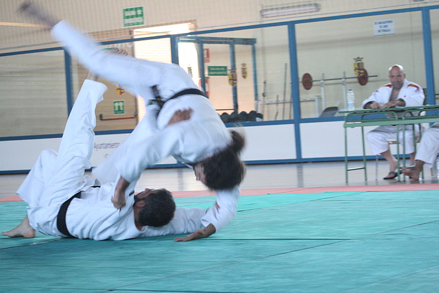 Examen_CNegro_Torrejon_2011_ 643