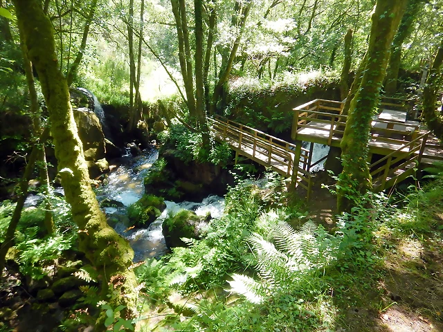 DSCN2256 DSCN2256