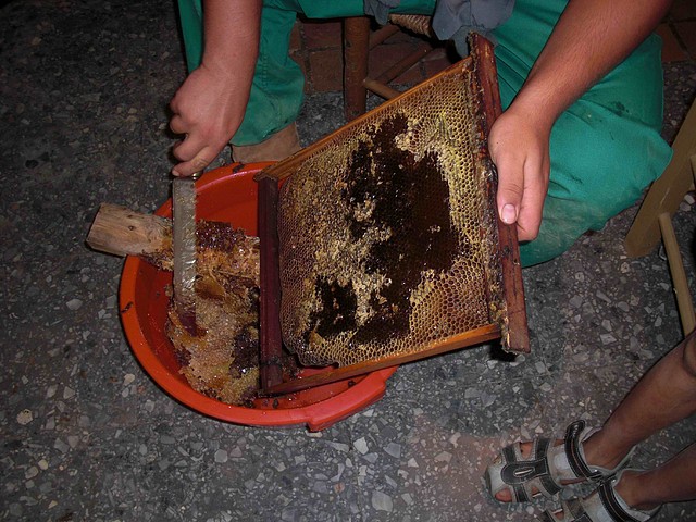 5a 5a