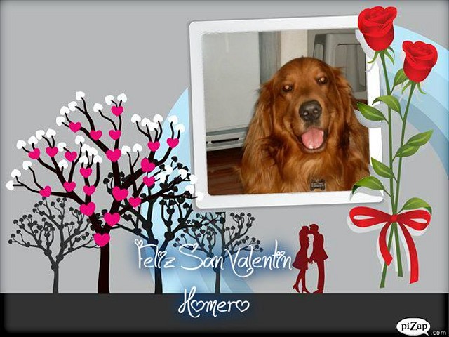 Homero San Valentin