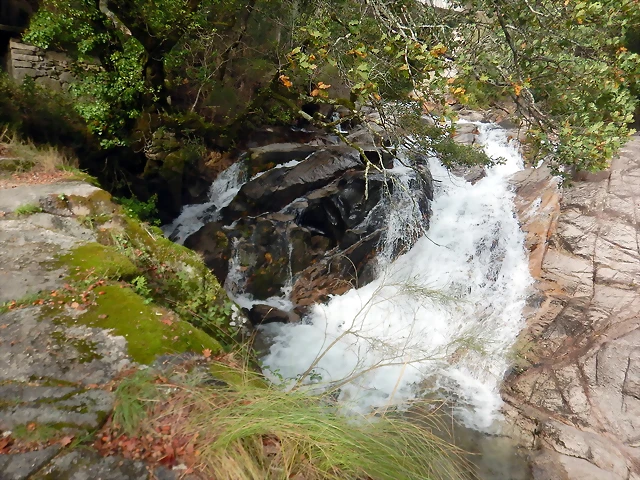 DSCN1934 DSCN1934