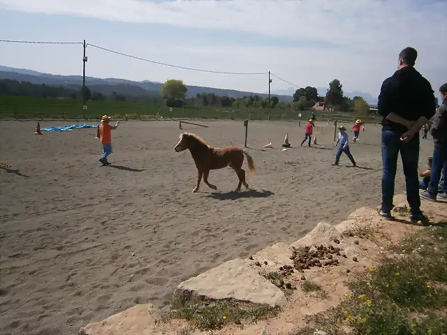 Sant Fruitos de Bages 2015-04-12 (41)